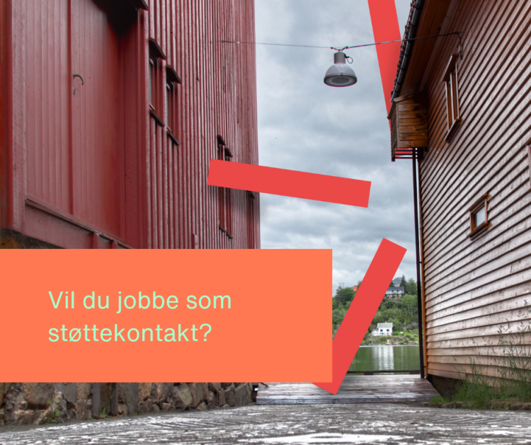 Lenke til artikkel: Vi ser etter støttekontakter