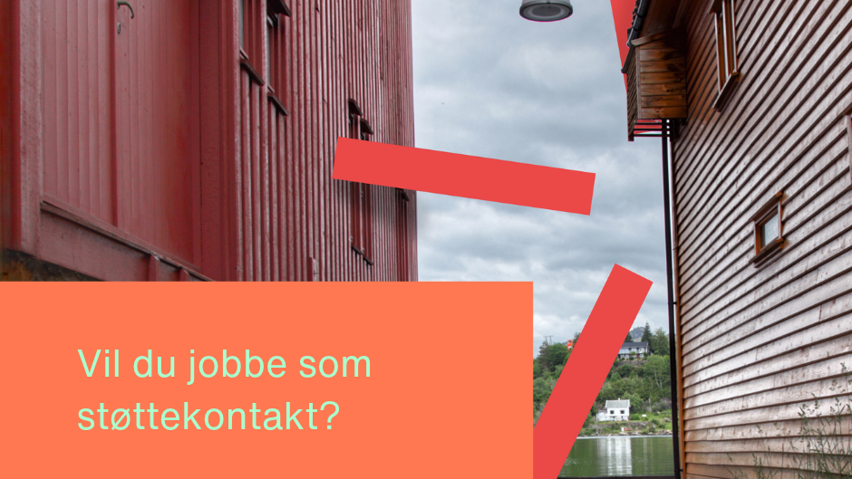 Lenke til artikkel: Vi ser etter støttekontakter