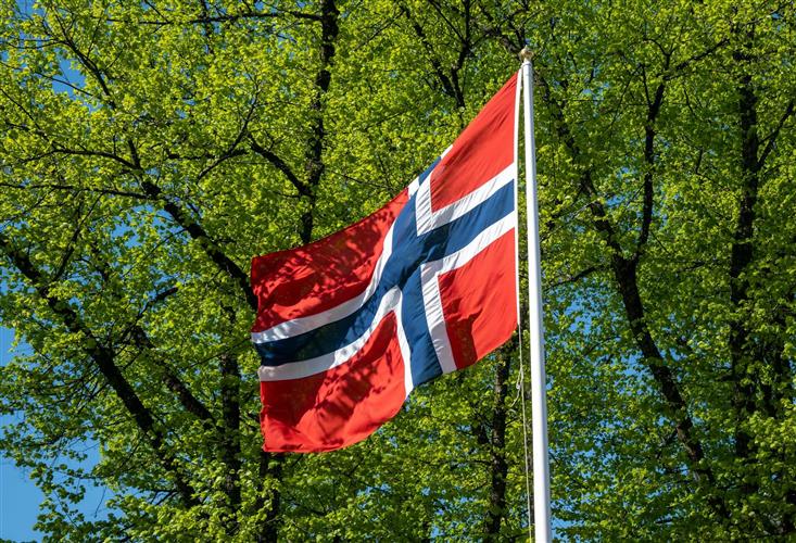 Norsk flagg